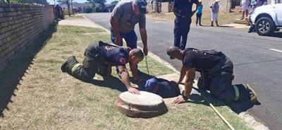 Mossel Bay Fire and Rescue teams deliver a hat-trick of animal rescues
