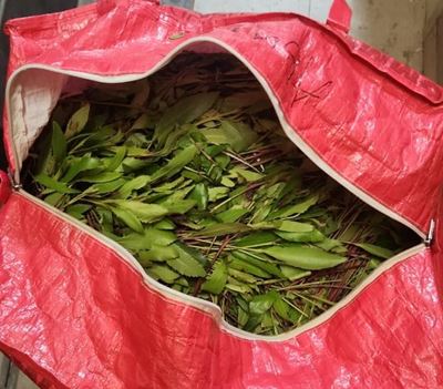 Five suspects arrested in ongoing drug clampdown