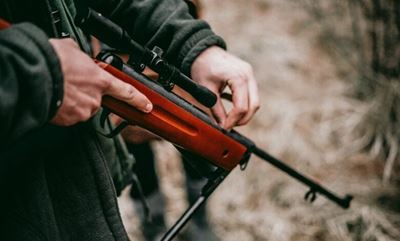 Manhunt underway for 2 Kruger National Park poachers