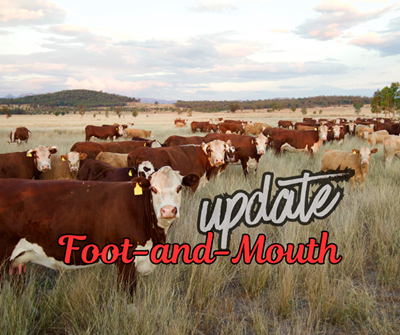 Foot and Mouth disease: Garden Route stats update
