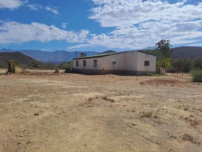 Greening townships key to surviving rising heat