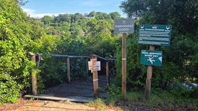 Wilderness boardwalk repairs stumped