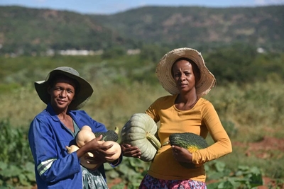 Mpumalanga women lead small-scale farming revolution