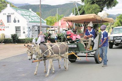 Doc weer vir 500 km op donkiekar