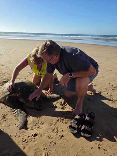 Rescued Hartenbos sea turtle sadly dies