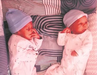 Three tiny fighters capture Knysna's heart