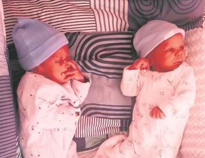 Three tiny fighters capture Knysna's heart