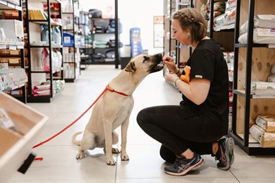 Vitalvet Animal Medical Centre: Did you know?