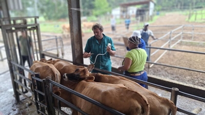 From outbreaks to opportunity: Biosecurity and the future of South African livestock