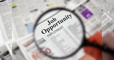 Municipal Environmental Graduate Programme