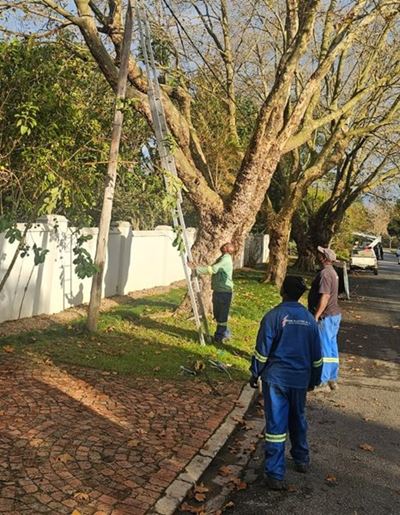 Electricity supply interrupted in parts of George due to weather