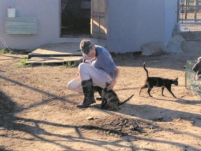 10 000 cats sterilised in 10 years!