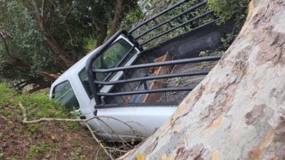 Road closures due to fallen trees 