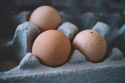 From planning to peak lay: Building a profitable egg business