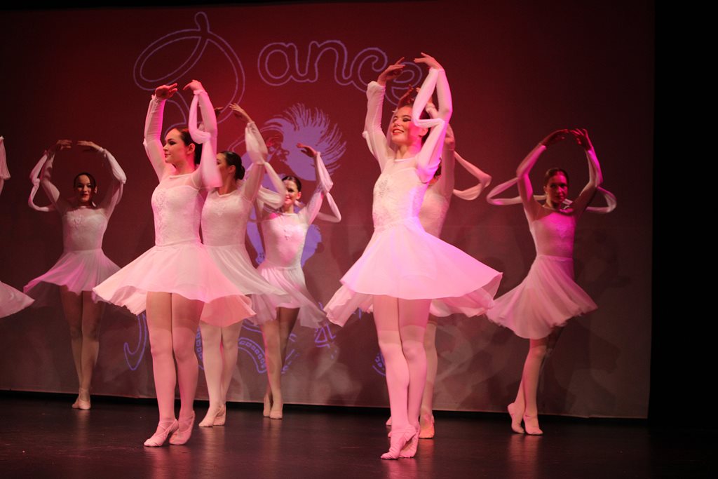 Dance Mosaic fundraiser helps fund hundreds of sterilisations