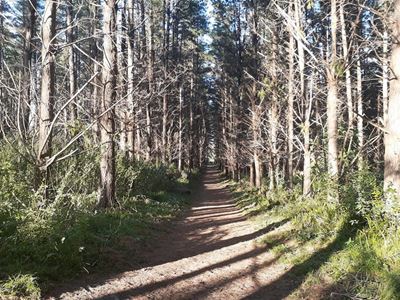 Urgent: Avoid hiking in mountainous areas