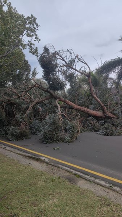 UPDATE: Road closures and fallen trees 