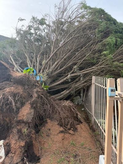 UPDATE: Road closures and fallen trees 