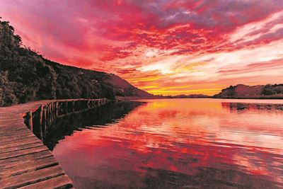 Wilderness website showcases local gems