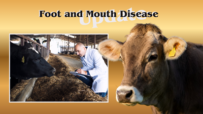 One new case of Foot-and-Mouth disease in Oudtshoorn
