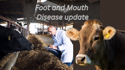 New FMD case confirmed in the Mossel Bay area