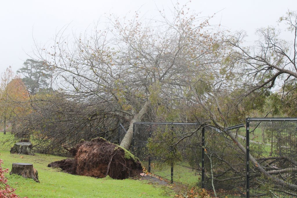 Destructive storm captured through the lens