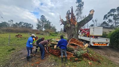Latest update on weather-related power outages in parts of George