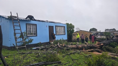 Sterk gemeenskapsgees na boom op huis in Pacaltsdorp val