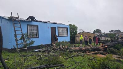 Sterk gemeenskapsgees na boom op huis in Pacaltsdorp val