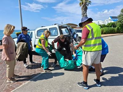 First for SA: Point seal tests positive for avian flu
