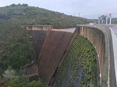 Damvlakke: Mosselbaaise reën verrig wonders vir Wolwedans