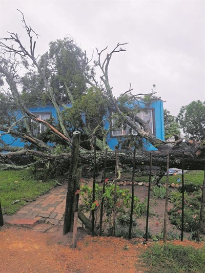 Rainstorm hits George