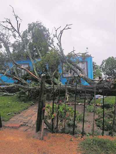 Rainstorm hits George