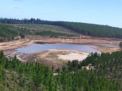 Exceptional rainfall sparks Knysna water debate