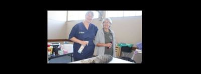 Meer as 40 honde en katte reeds vandag gesteriliseer