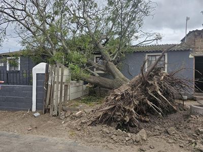 Understanding the drivers behind recent extreme weather