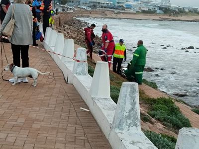 Man falls from Point rocks into the ocean, dies