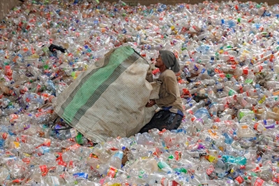 New data reveals how major SA brands tackled sustainability in 2025