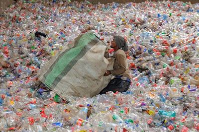 New data reveals how major SA brands tackled sustainability in 2025