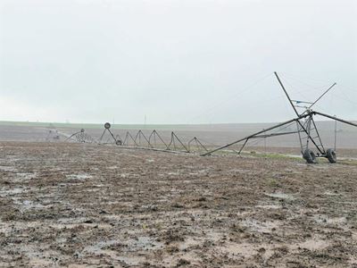 Damage and disruption on farms