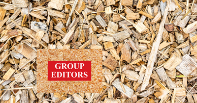 Collection of wood chips