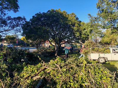 UPDATE: Merriman and Union Street wood chipper site at capacity