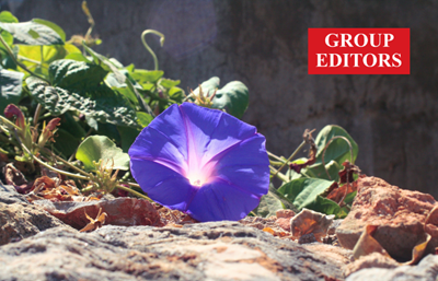 WAT se Woord van die Week: Purperwinde