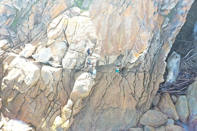 Stay off rocks and away from whale, warns Smart