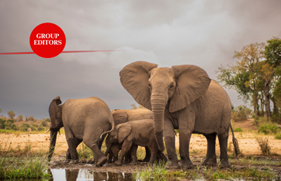 Official launch of Kruger National Park Centenary this weekend