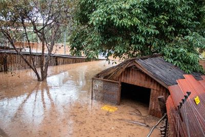 Cango Wildlife is temporarily closed due to major flood damage 