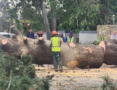 Weather-related power outages in parts of George
