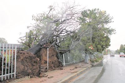 Gale-force winds leave trail of damage at schools