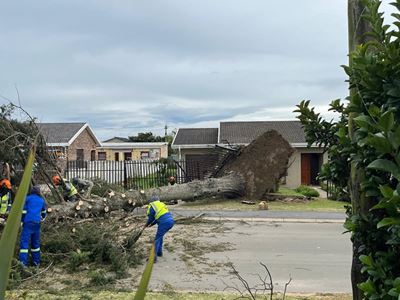 Garden Route | Karoo storms: Status update at 08:30
