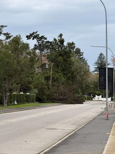 Fancourt mourns employee killed in devastating George windstorm